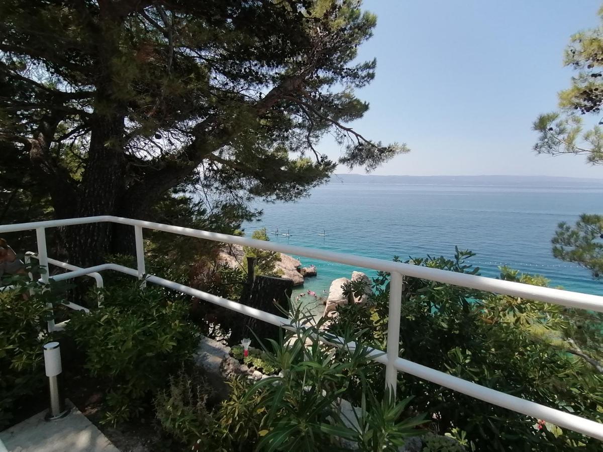 Apartmani Mares - 20 M From The Beach ブレラ エクステリア 写真