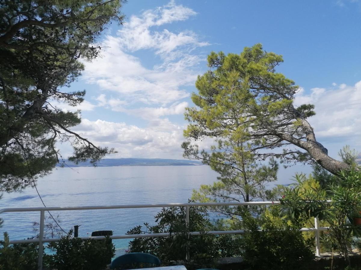 Apartmani Mares - 20 M From The Beach ブレラ エクステリア 写真